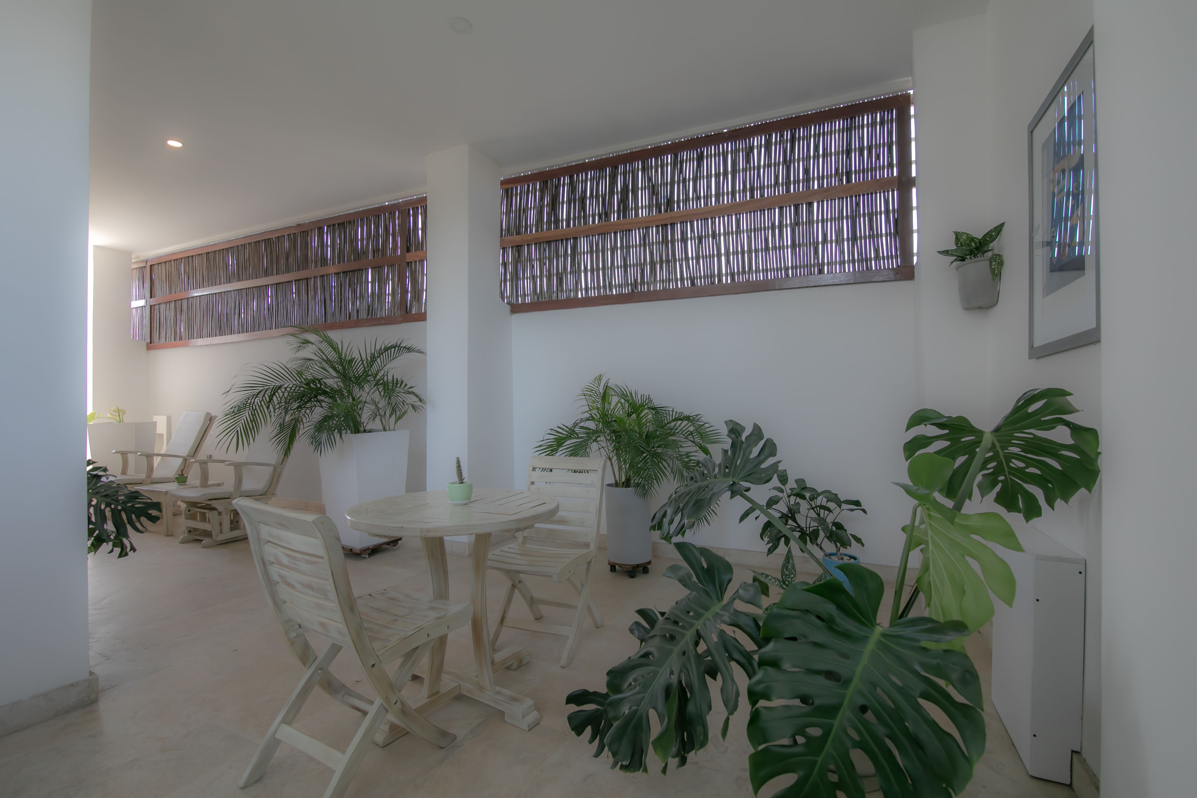 Photo - El Cactus Luxury Apartments in Historic Center