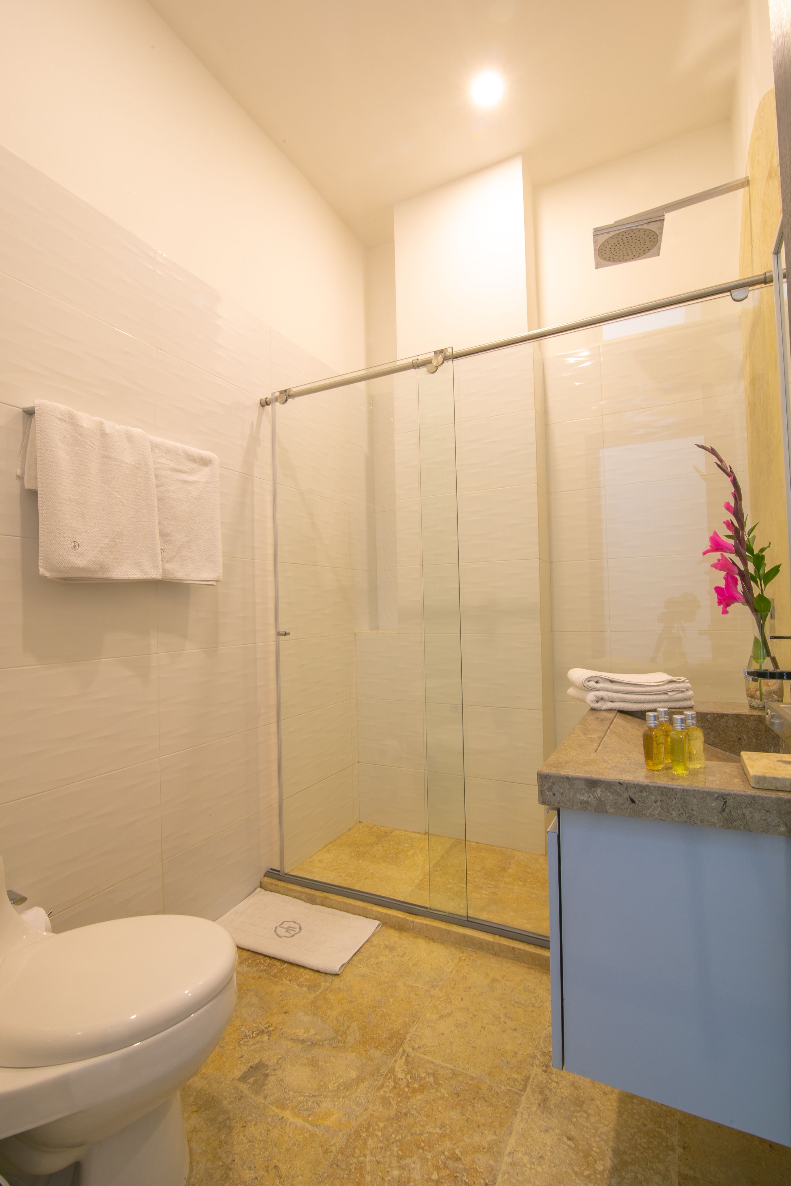 Photo - El Cactus Luxury Apartments in Historic Center