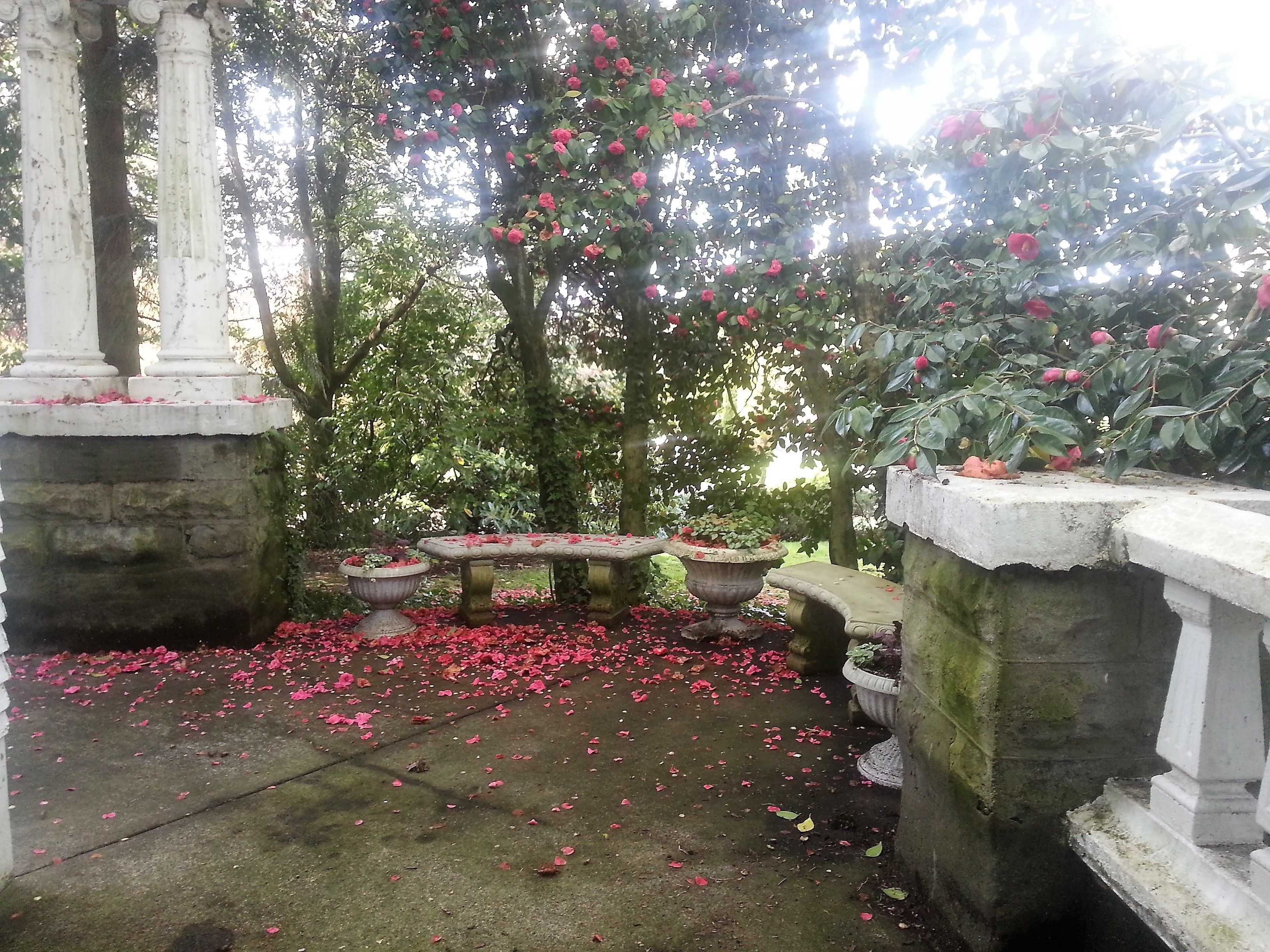 Foto - Evermore Guesthouse