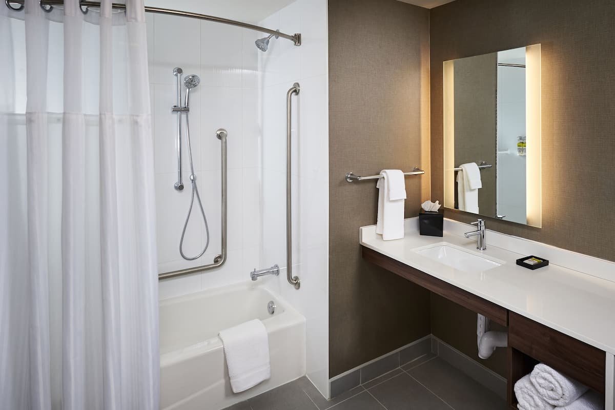 hair dryer, towels, soap, shampoo