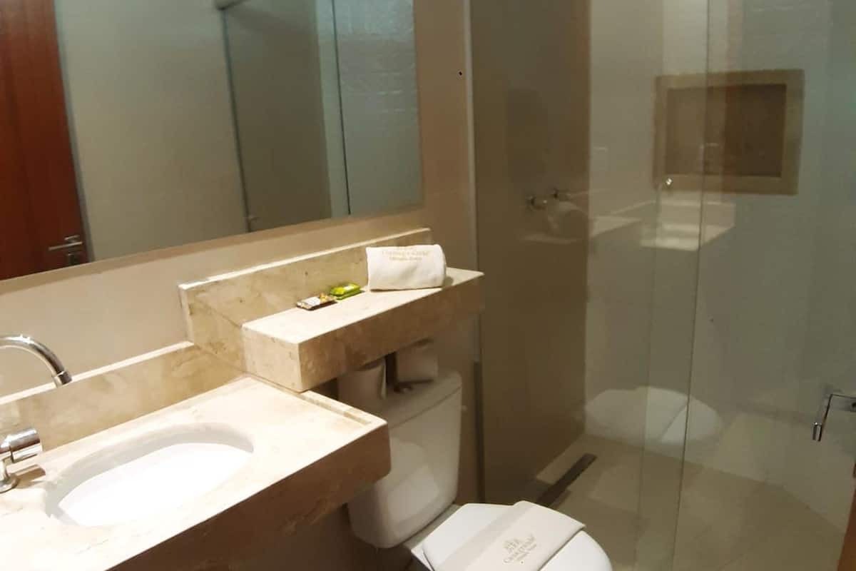 shower, free toiletries, hair dryer, towels