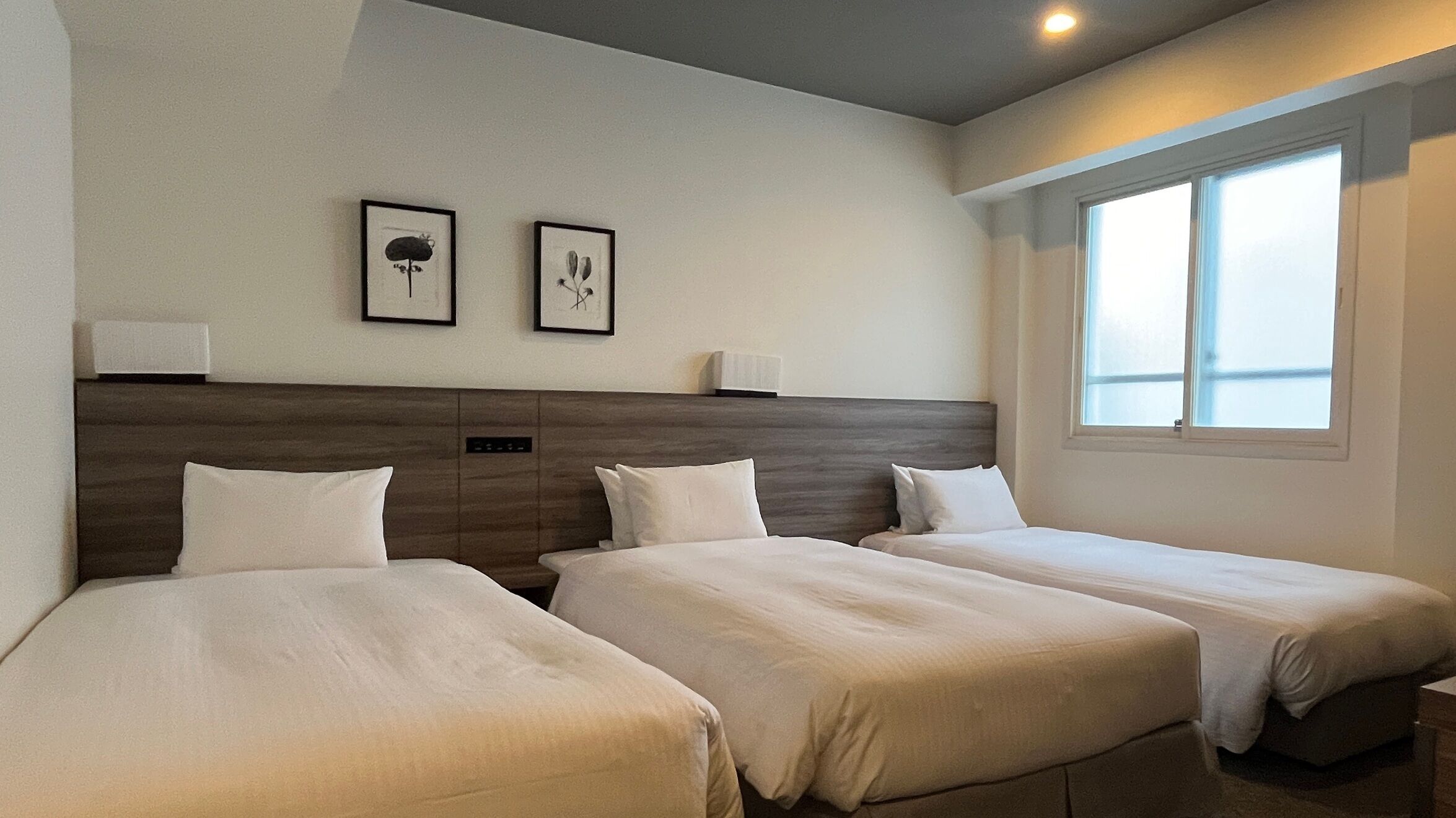 Une chambre d’hôtel avec deux lits simples, une tête de lit, des lampes de chevet et une fenêtre laissant entrer la lumière naturelle.