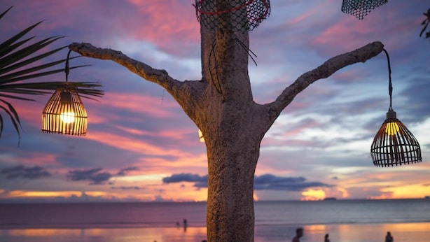 A tree with hanging lights and a beach in the background. - Lanta Smile Beach At Klong Dao (Ko Lanta)