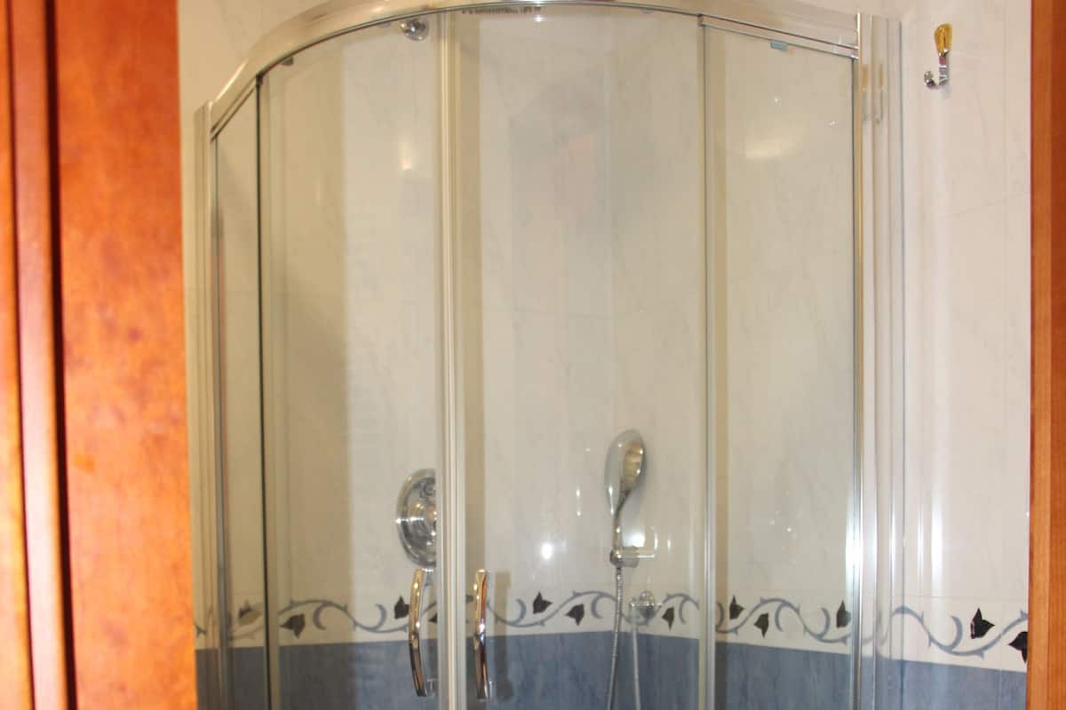 A glass-enclosed shower stall with a white toilet beside it.