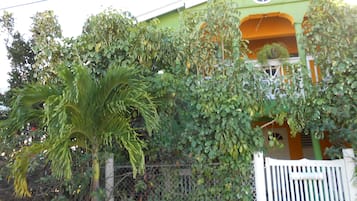 Uma casa com fachada verde, cerca branca e uma árvore em frente.