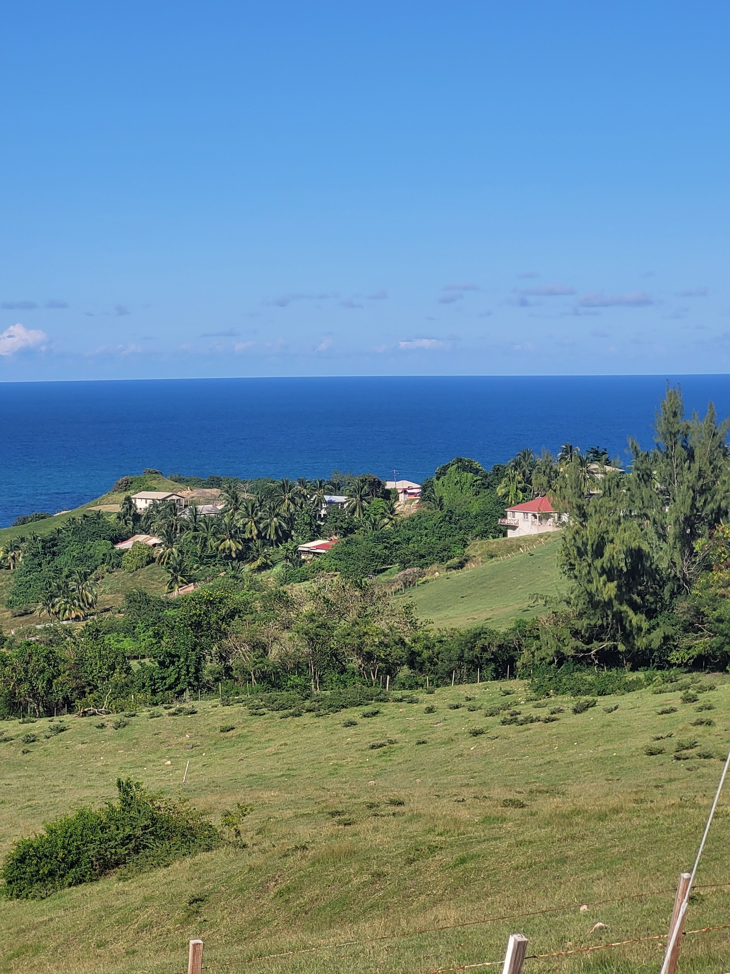 Paisaje costero con casas, vegetación y una vista despejada del océano.
