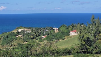 Paisaje costero con casas, vegetación y una vista despejada del océano.