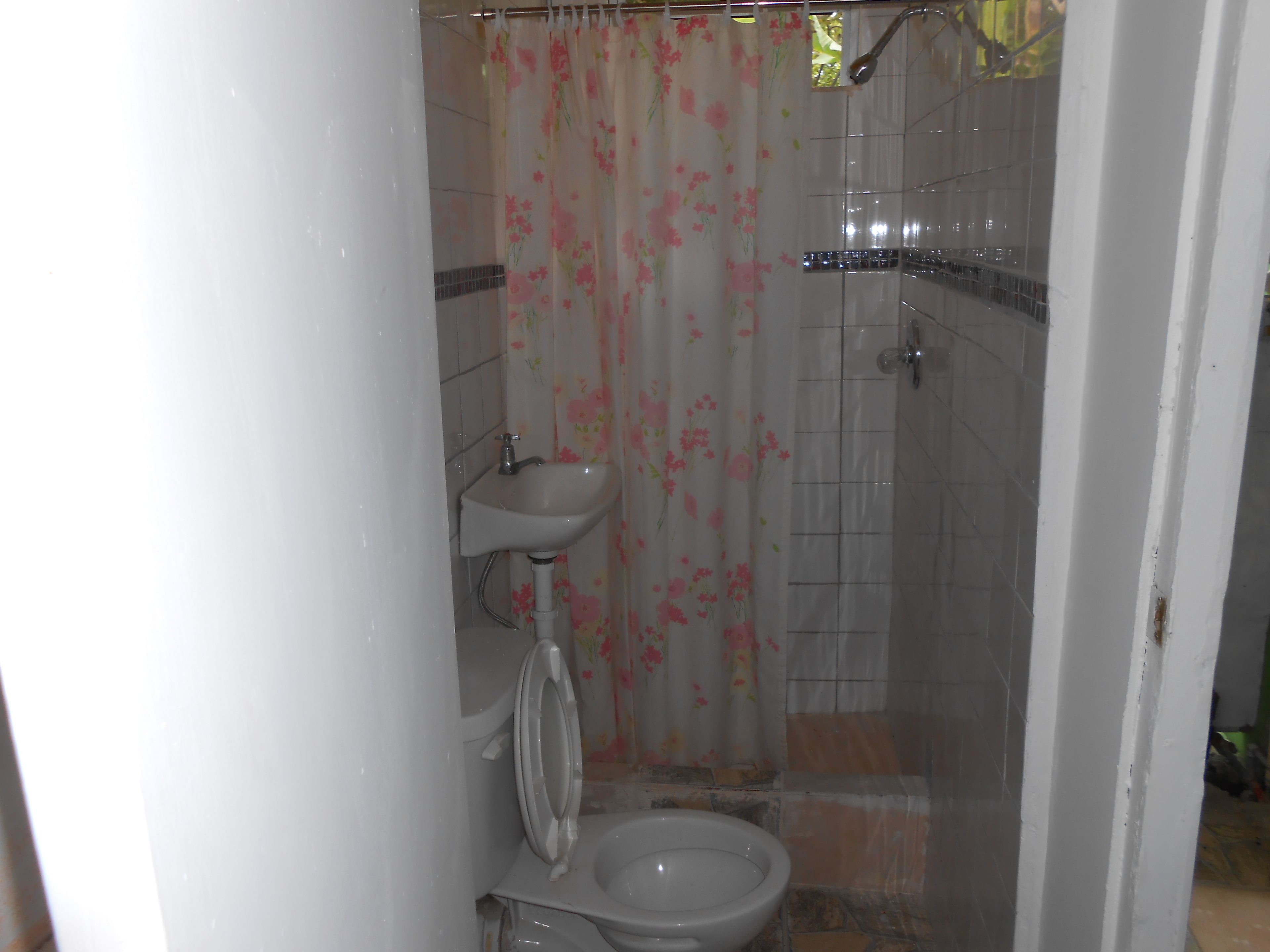 A bathroom with a toilet, sink, shower, and floral shower curtain.