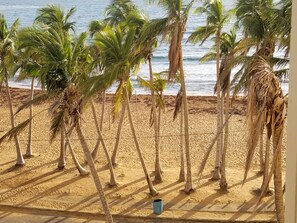 Habitación triple exclusiva, 3 habitaciones, vista a la playa, frente al mar | 3 habitaciones y sábanas de algodón egipcio 