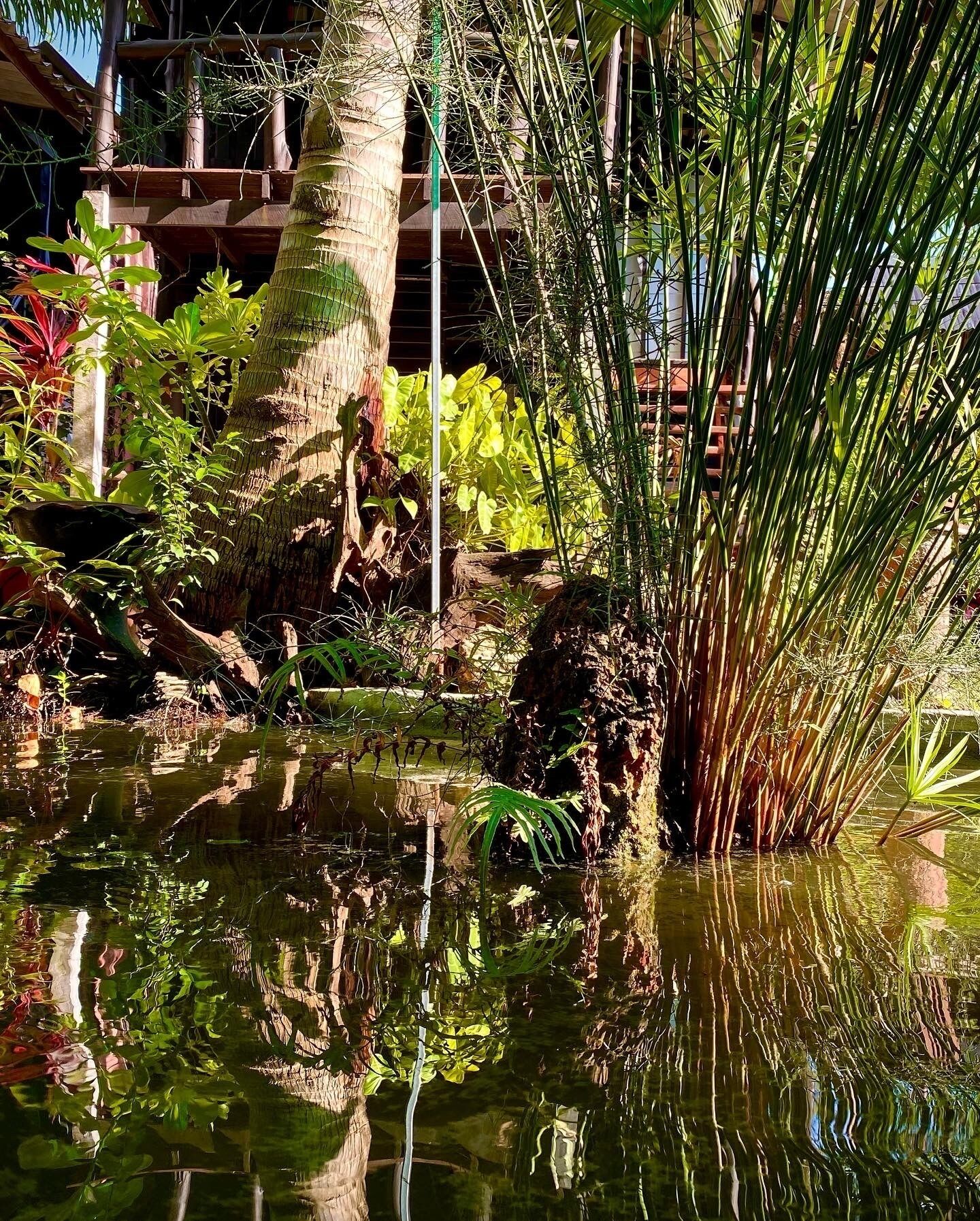 Foto - Leaf House Bungalows SHA PLUS approved