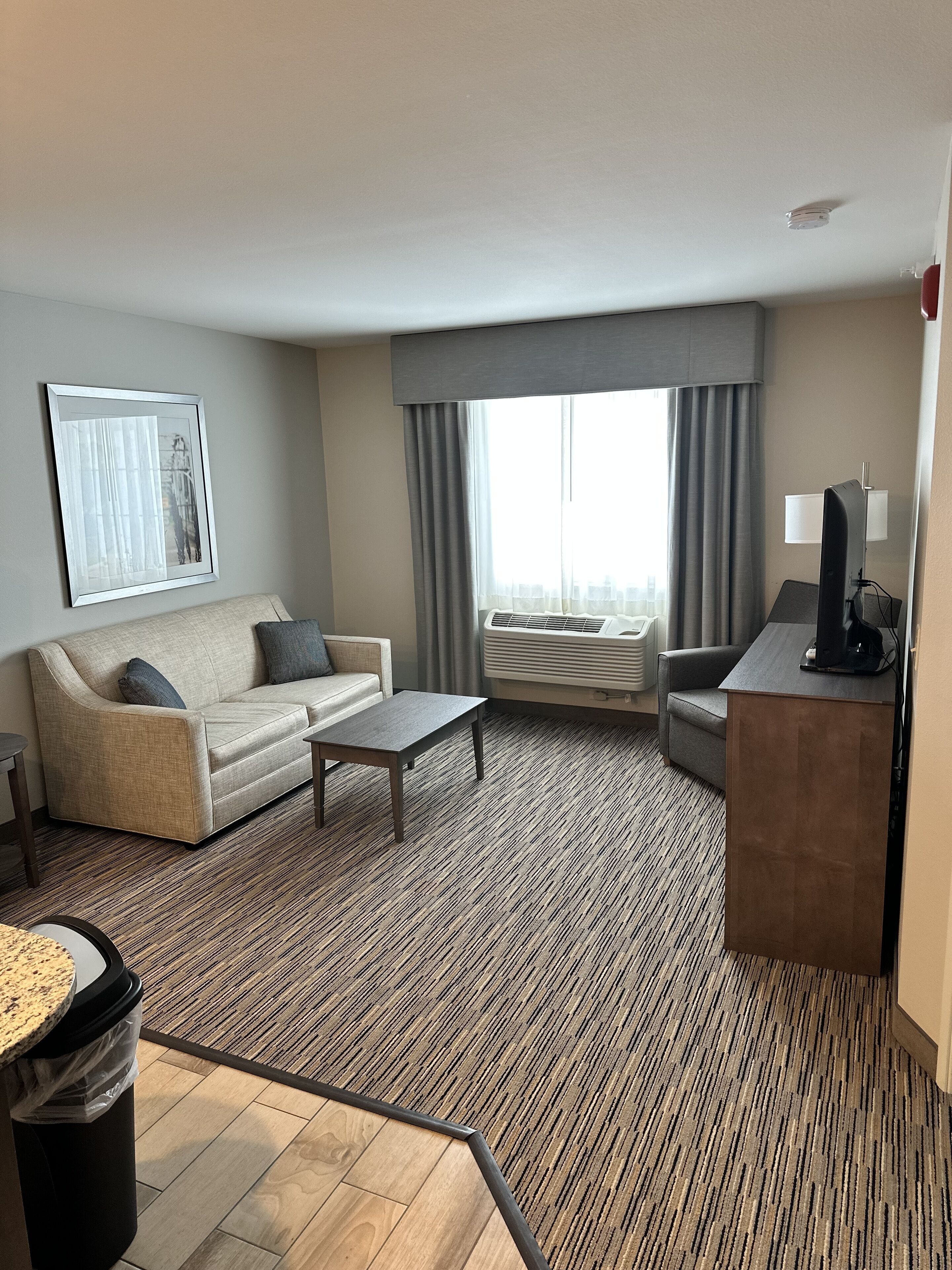 suite, 1 king bed with sofa bed | living area | flat-screen tv