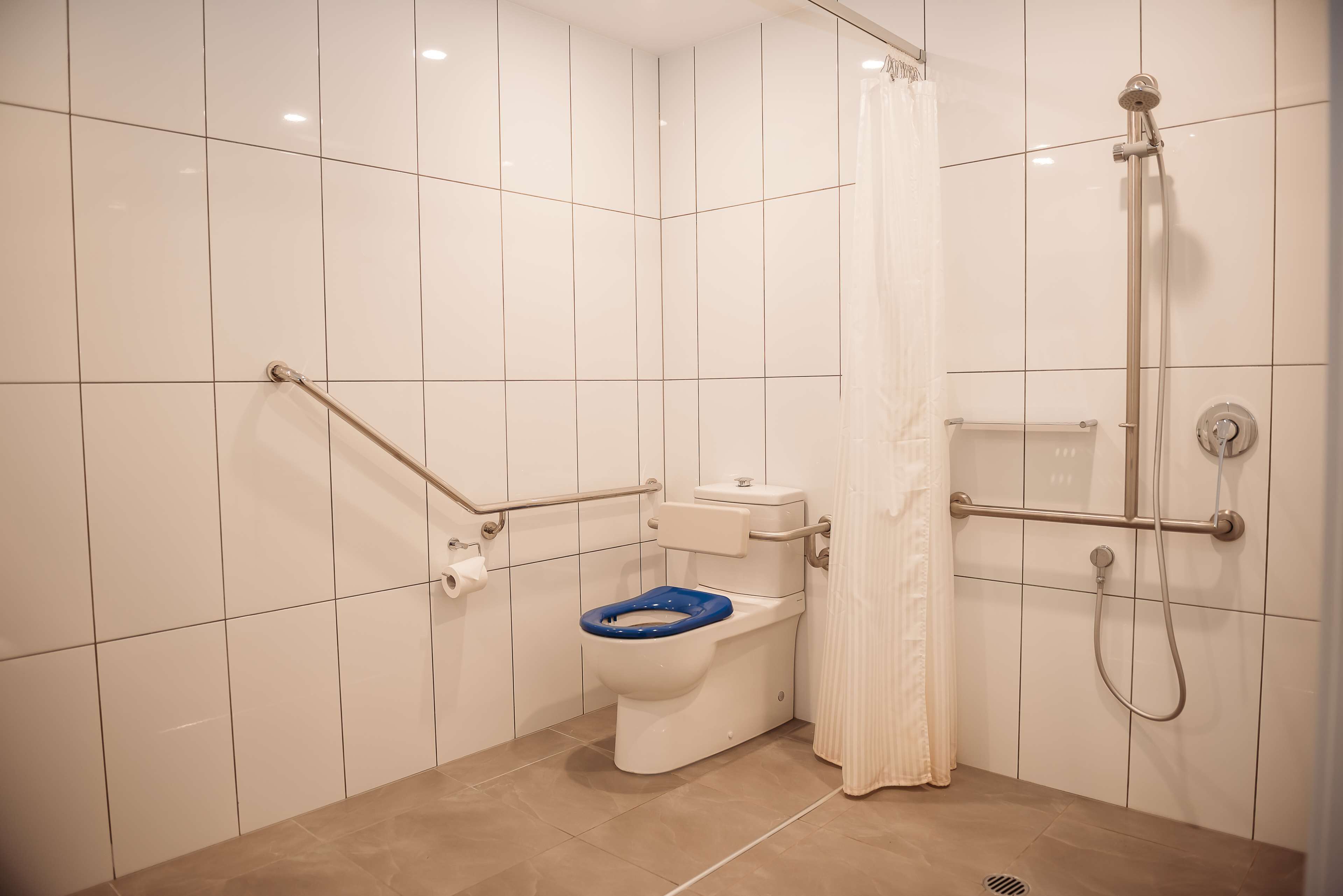 Ein Badezimmer mit Toilette, Dusche und Haltegriffen.