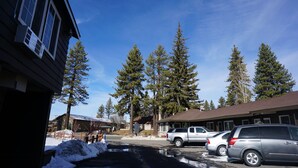 A motel with a parking lot, several vehicles, and tall pine trees in the background.