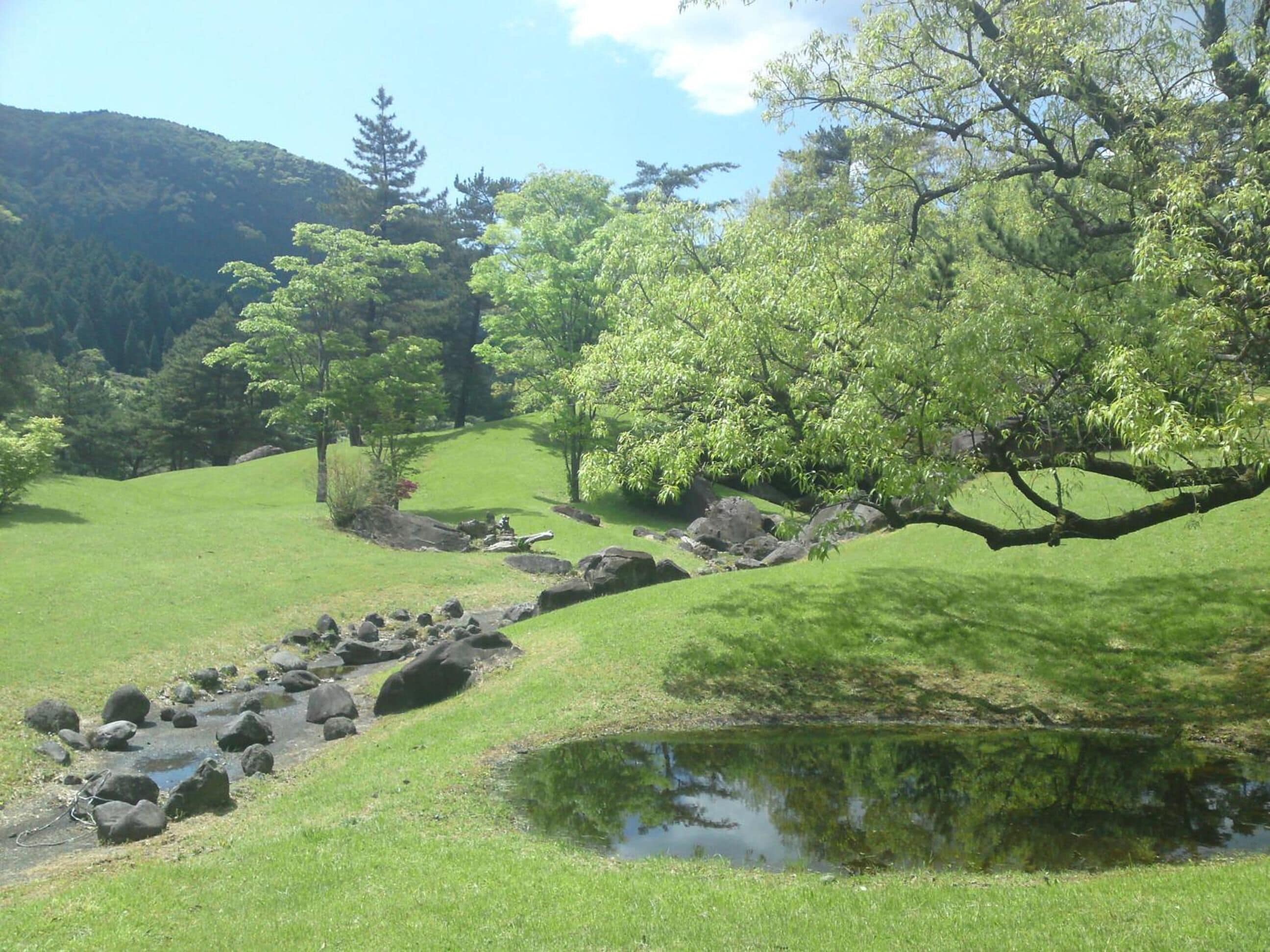 A serene landscape with a pond, rocks, and trees.