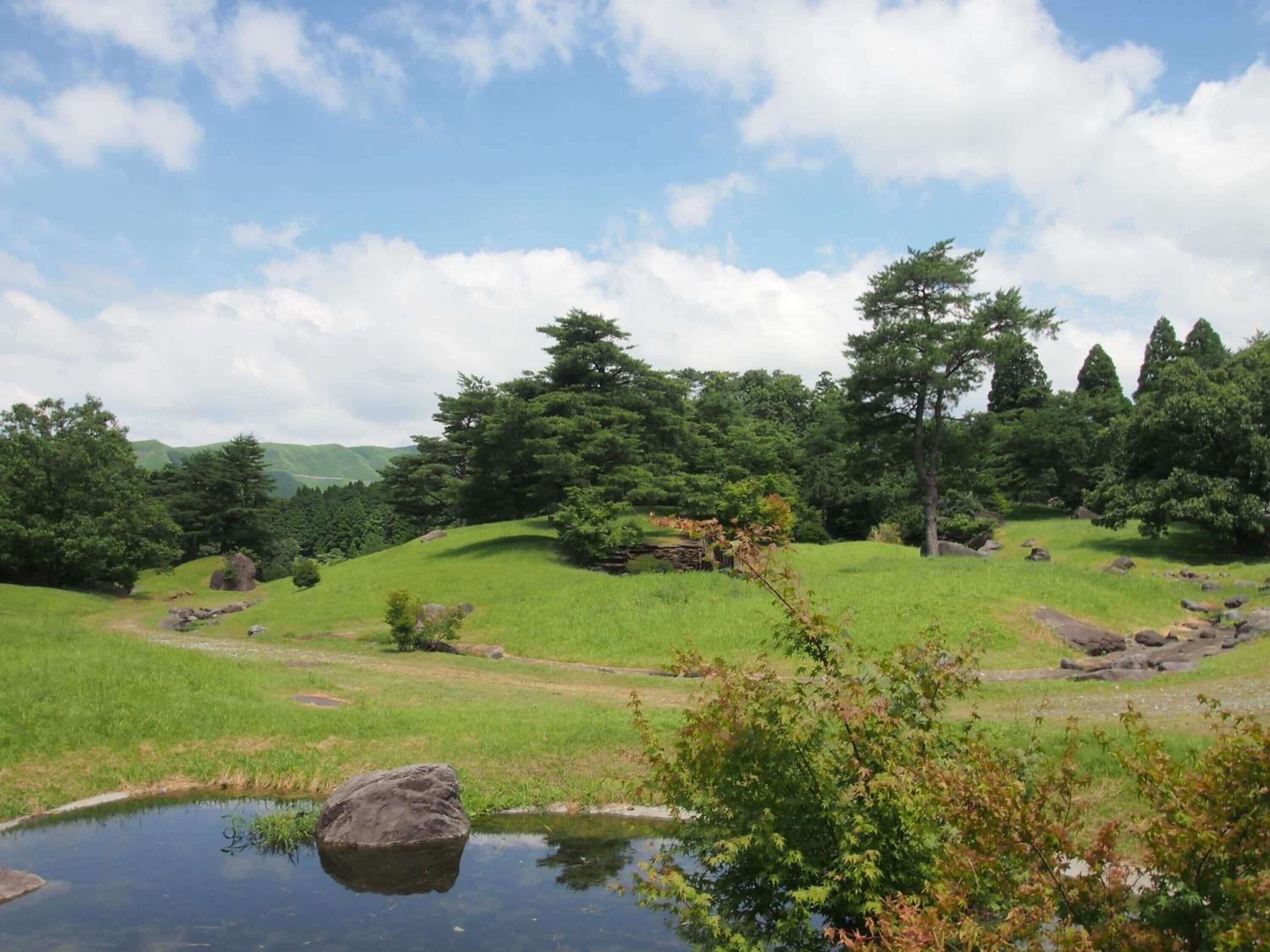 A natural landscape with a pond, grassy areas, and trees.