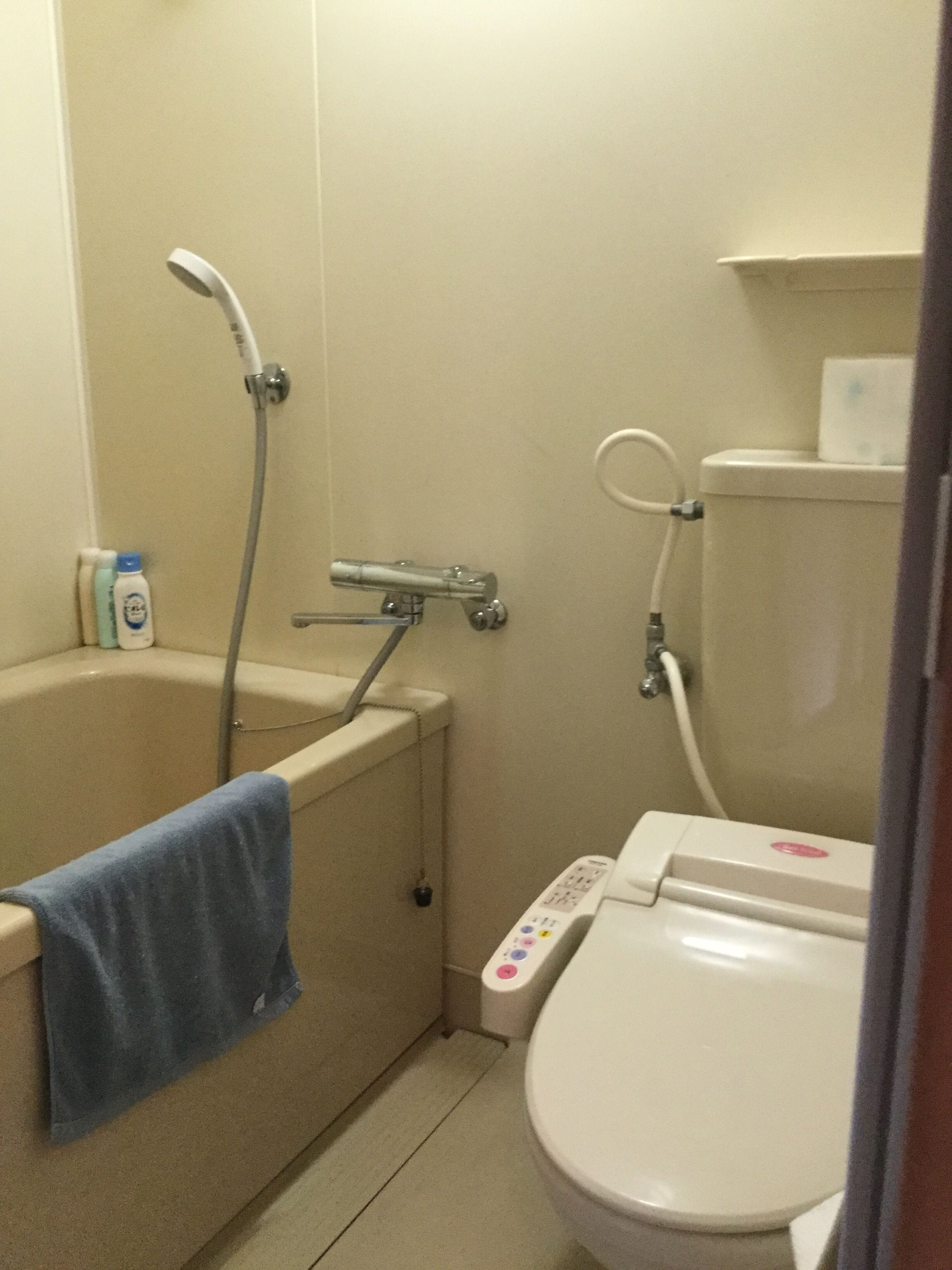 free toiletries, hair dryer, slippers, electronic bidet