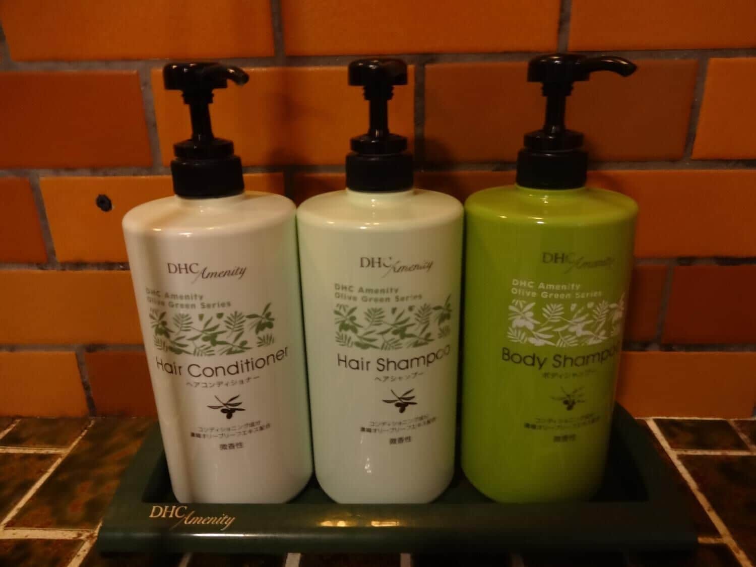 free toiletries, hair dryer, slippers, electronic bidet