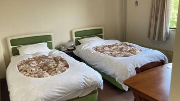 Twin Room | Free WiFi, bed sheets