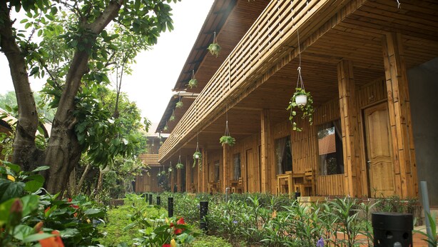 A wooden building with a covered porch, hanging plants, and a garden with various plants and flowers.