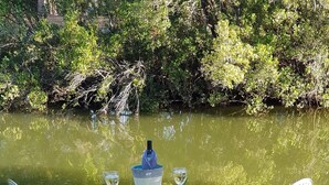 Una mesa con dos sillas y un paraguas decorativo, ubicada en una zona verde cerca del agua.