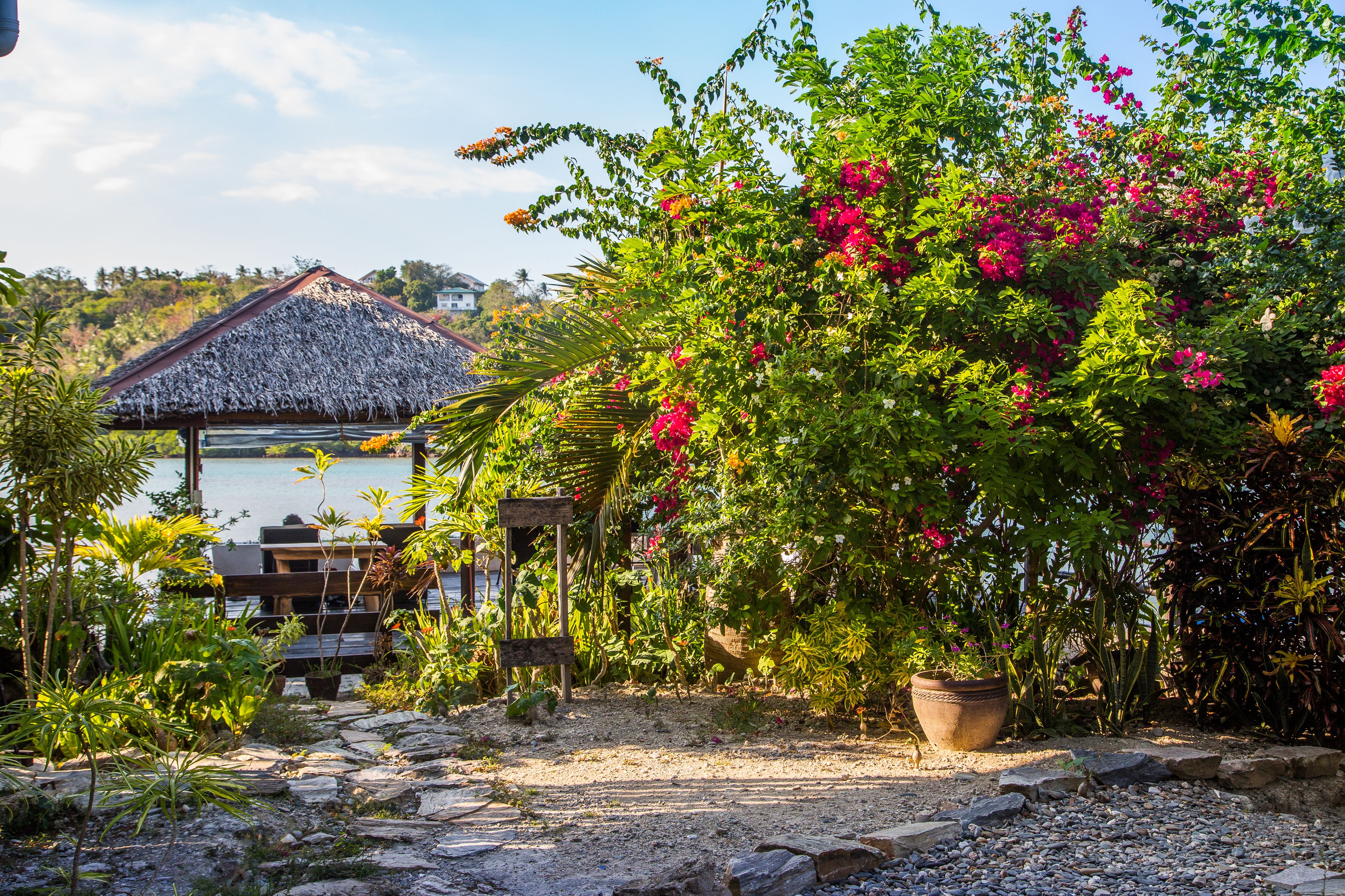 A garden with a thatched-roof structure, a large potted plant, and a rocky pathway.