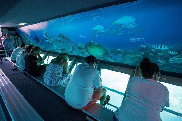People observing an aquarium with various fish species.