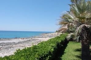 En la playa y camastros 
