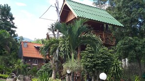 Property grounds - Rai Phuphapok (Suan Phueng)
