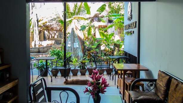 An indoor seating area with tables and chairs, surrounded by potted plants and a dog lying on the floor. - Sang Chan Hostel (Koh Lipe)
