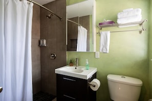 Hair dryer, towels - New Studio with Pool and Laundry (Oakland Park)