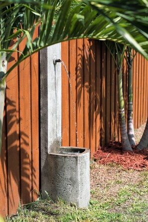 Una fuente de concreto con un caño, frente a una valla de madera y rodeada de césped y mantillo.