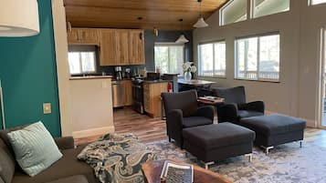 TV connectée, cheminée, livres, médiathÚque