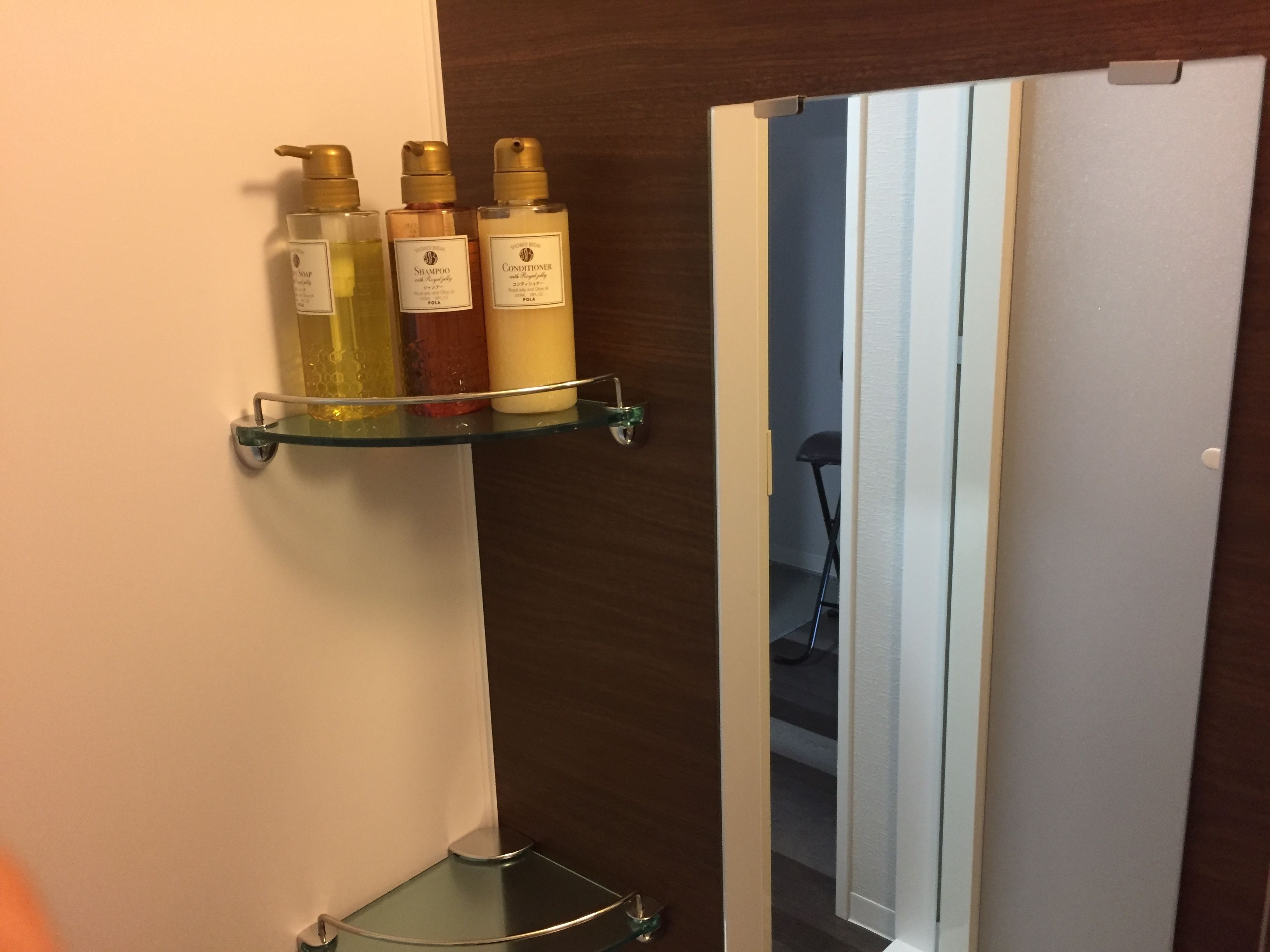 Combined shower/tub, free toiletries, hair dryer, bidet