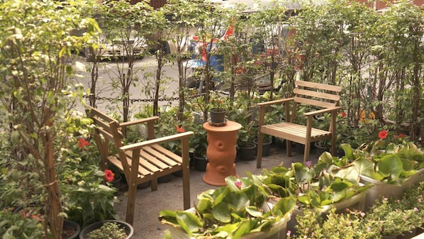 Terraza o patio