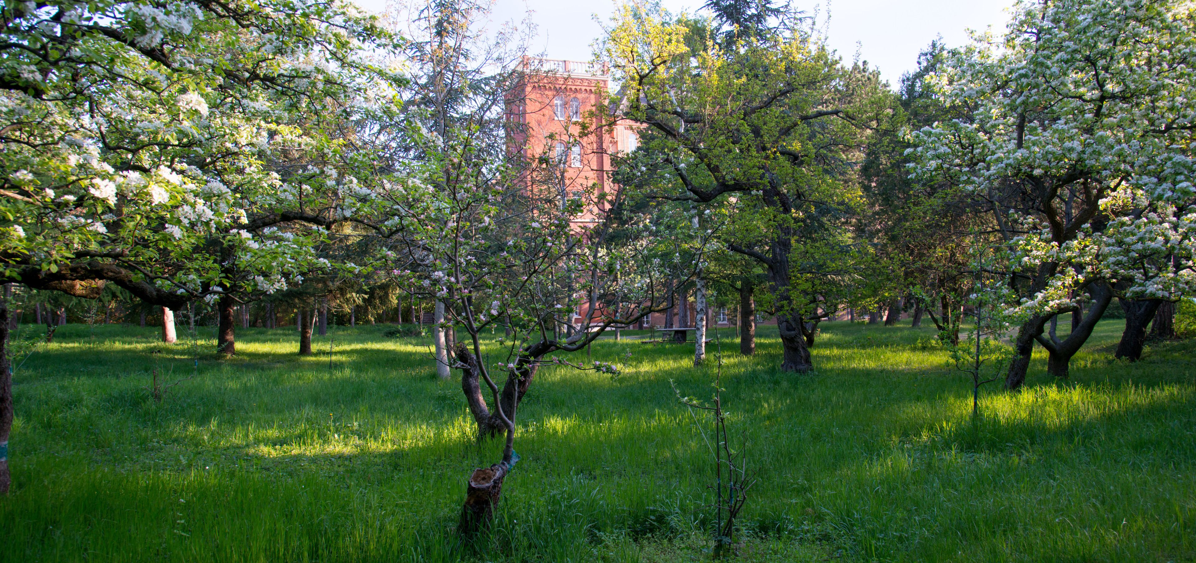 outdoor wedding area