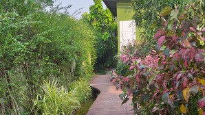 A wooden pathway through a garden with dense foliage on both sides. - Plern Salaya Resort (Phutthamonthon)