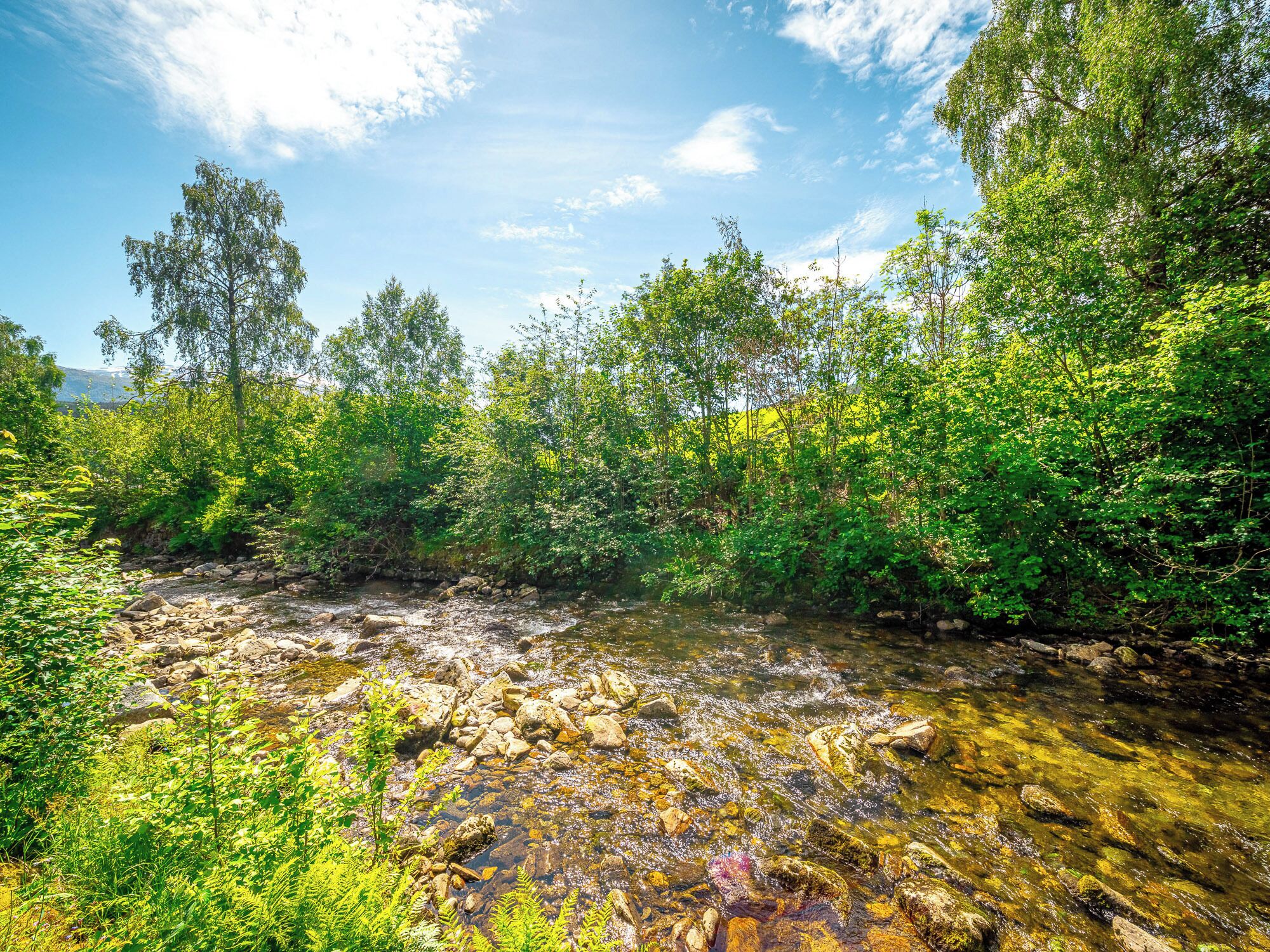 A natural landscape with a clear stream, surrounded by dense greenery and trees.