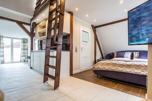 40-英寸智能电视（配备卫星频道）、电视、首映电影