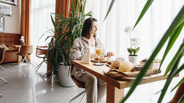 A person sitting at a wooden table with a laptop, a glass of orange juice, and a plate of food. There is a large potted plant and a small table with a white flower. The room has a modern design with a sofa and chairs. - Adelhoff (Osnabrueck)
