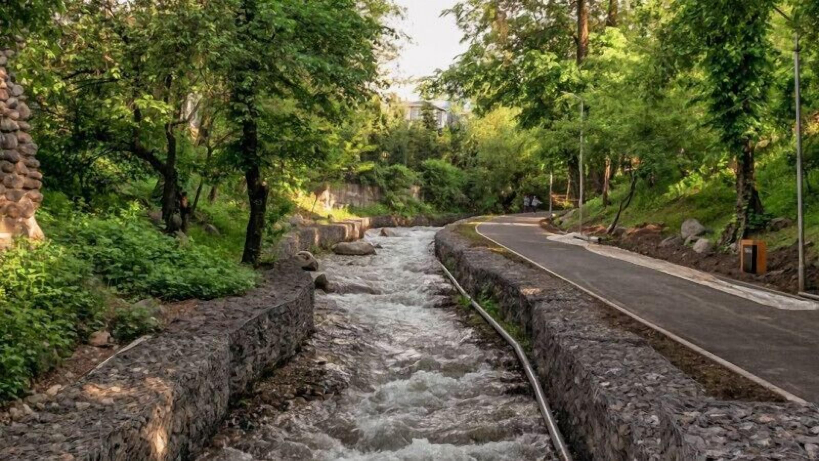 豪華雙人房 | 露台/庭院