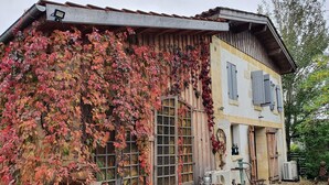 Un edificio rústico con muros cubiertos de hiedra, ventanas grandes y una bicicleta antigua.