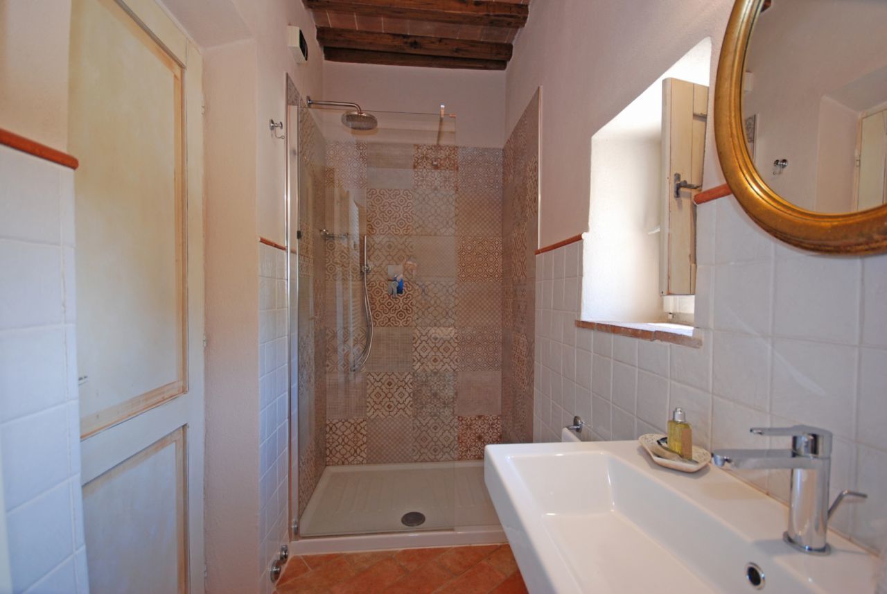 shower, free toiletries, hair dryer, bidet