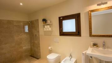 A bathroom with a shower, toilet, bidet, and sink.