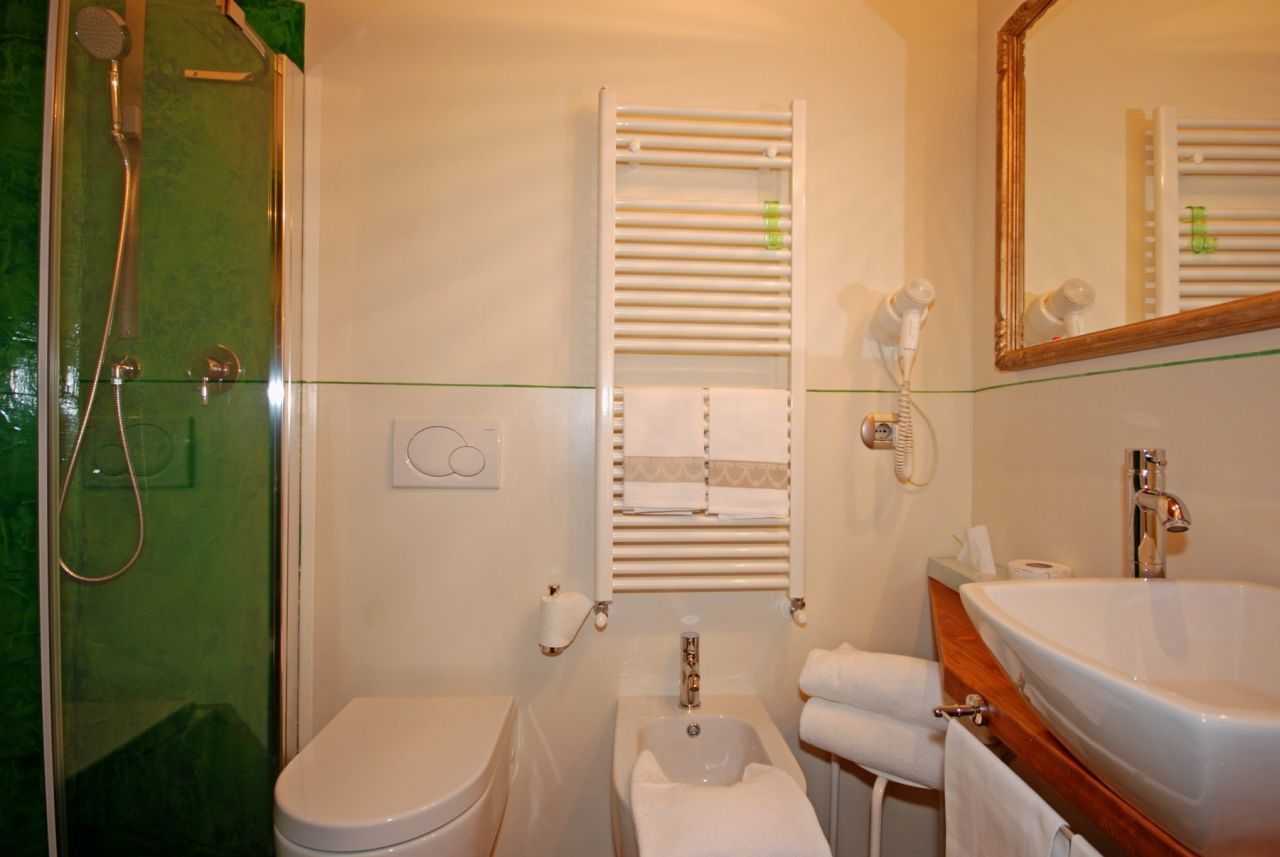 shower, free toiletries, hair dryer, bidet