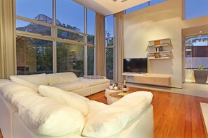 42-inch flat-screen TV with satellite channels, TV, fireplace