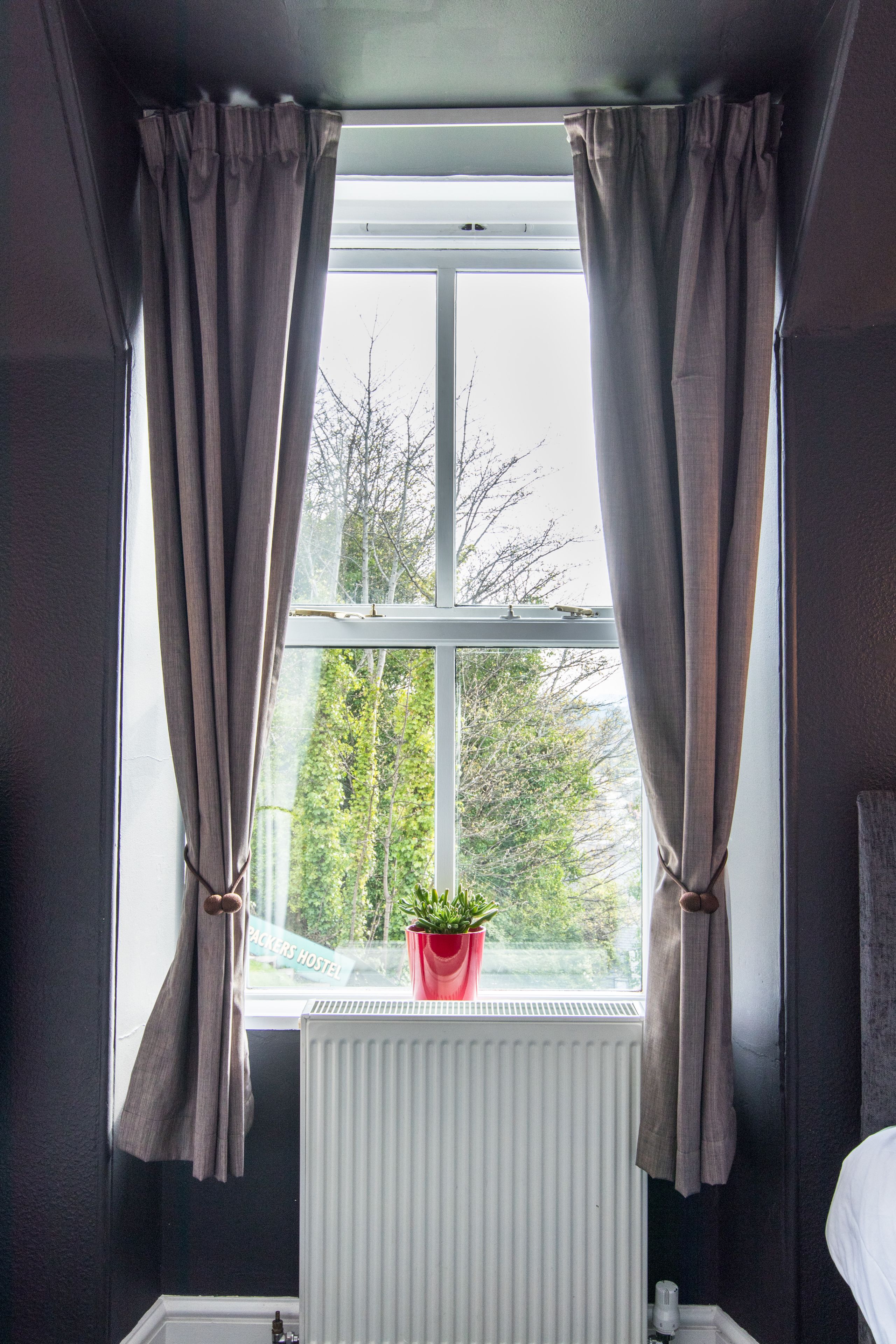 A room with a window, curtains, a radiator, and a potted plant.