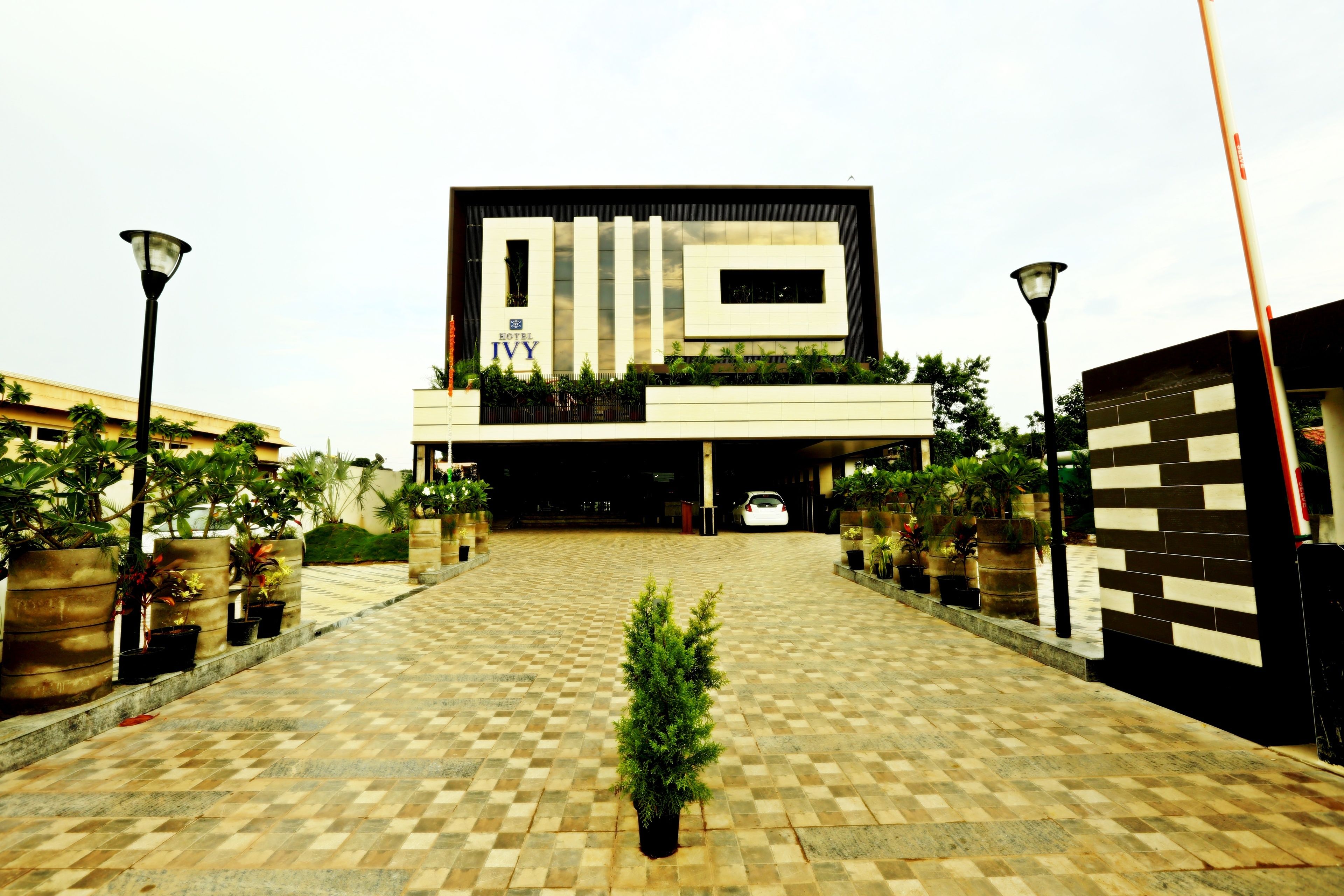A modern building with a checkered floor, potted plants, and a sign reading "IVY".