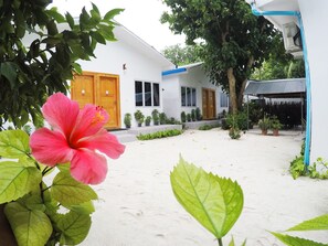 Property grounds - Relax Lodge (Thoddoo)