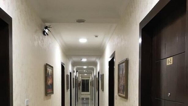 Lorong