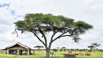 Luxury Tent | View from room